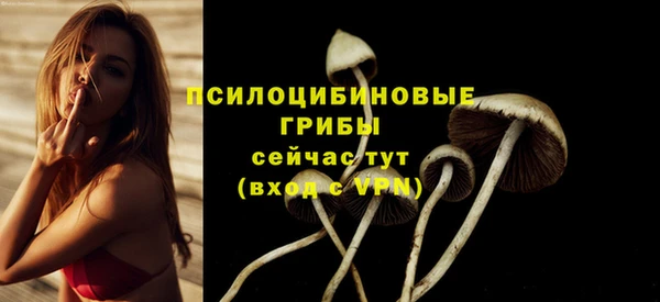 герыч Березники